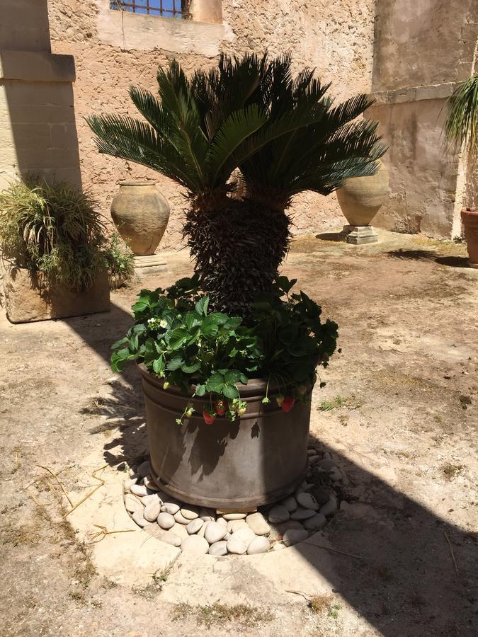 Casale Rocca Fiorita Bed & Breakfast Acate Bagian luar foto